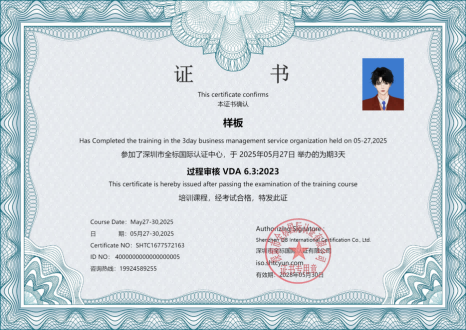 过程审核 VDA 6.3